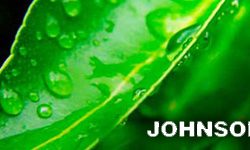 JOHNSON –  Cocinas de vanguardia – Certificado de Aptitud Ambiental