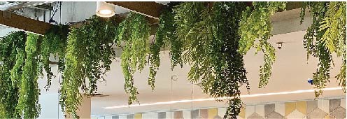 Plantas artificiales colgantes 