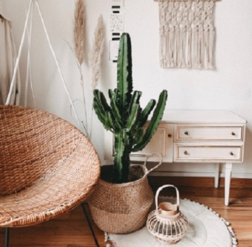 Sillas de Diseño – San Francisco – Córdoba Decó